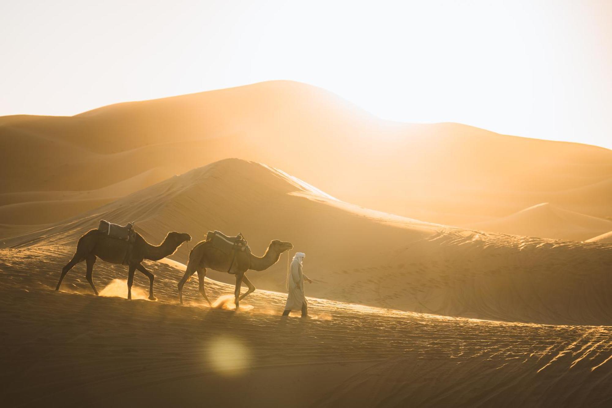 Royal Luxury Camp Hotel Merzouga Eksteriør billede